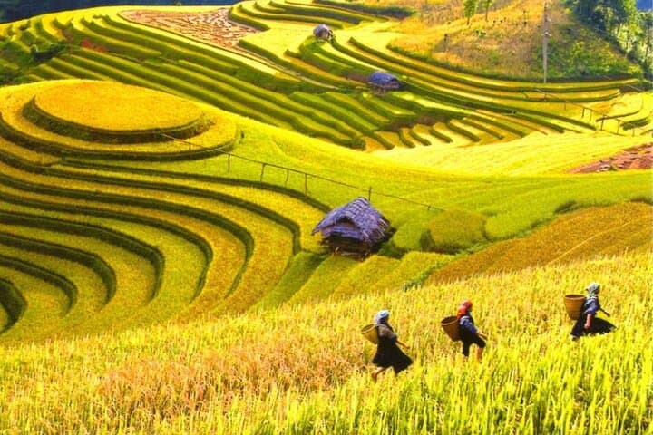 Mai Chau 2-Day Village & Rice Fields Experience from Hanoi photo 5