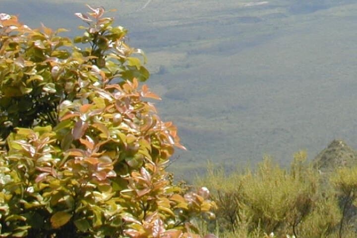 Mount Longonot Day Hike: Crater Rim Trek & Great Rift Valley Views photo 5