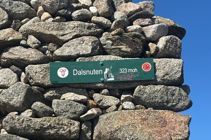 Dalsnuten Hike: Private Sandnes–Stavanger Excursion to Fjord Views photo 2