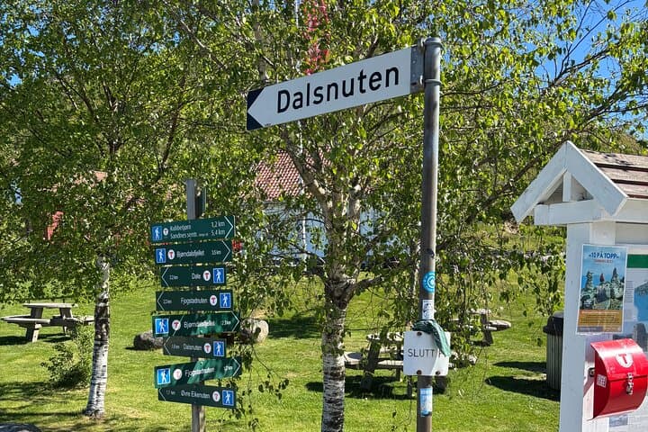 Dalsnuten Hike: Private Sandnes–Stavanger Excursion to Fjord Views photo 4