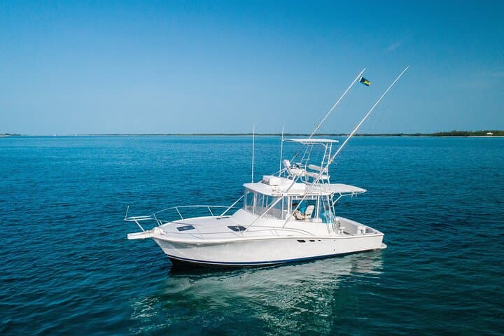 Nassau Snorkeling, Turtle Spotting & Sunset Cruise: Reef, Turtles and Golden Hour photo 5