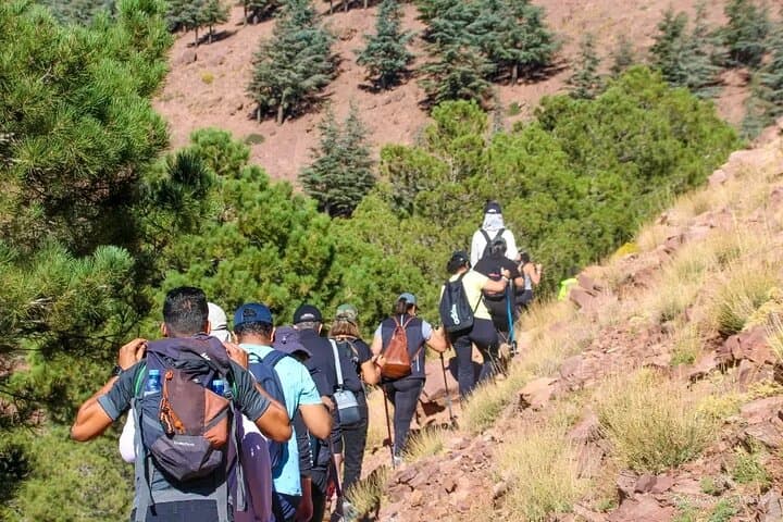 Half-Day Talamrout Summit Hike from Marrakech — High Atlas Adventure photo 2