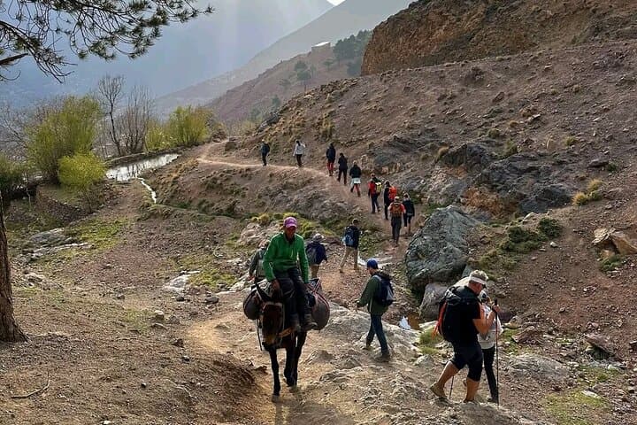 Half-Day Talamrout Summit Hike from Marrakech — High Atlas Adventure photo 5