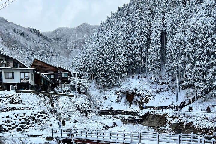 Nagano Private Full-Day Tour: Snow Monkeys, Zenkoji & Shibu Onsen photo 2
