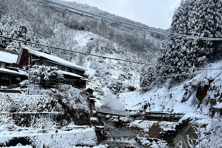 Nagano Private Full-Day Tour: Snow Monkeys, Zenkoji & Shibu Onsen photo 4