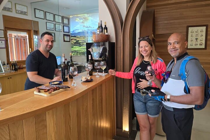 Cycle La Rioja Wine Route: 5-Day Guided Vineyard Tour from Logroño photo 3