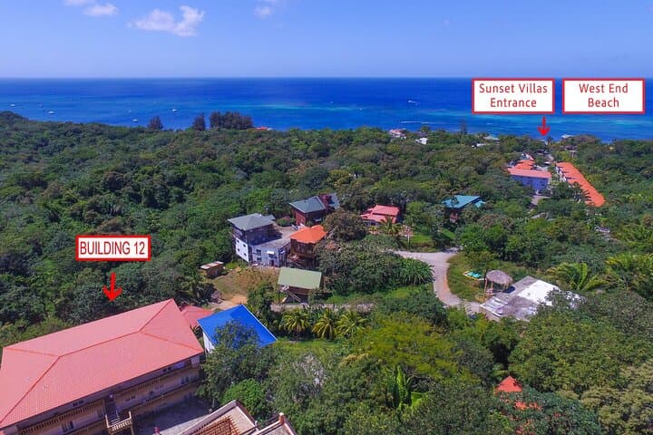 Roatán Real Estate Discovery Tour — Private Island Property Viewings & Sightseeing photo 3