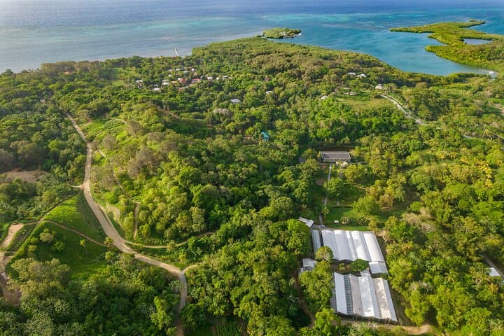 Roatán Real Estate Discovery Tour — Private Island Property Viewings & Sightseeing photo 5