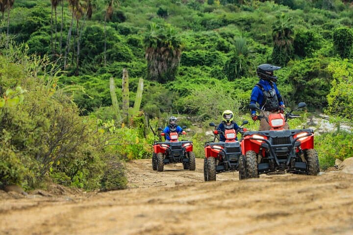Cabo ATVs, UTVs & Camel Ride at Tierra Sagrada Beach Adventure Park photo 6