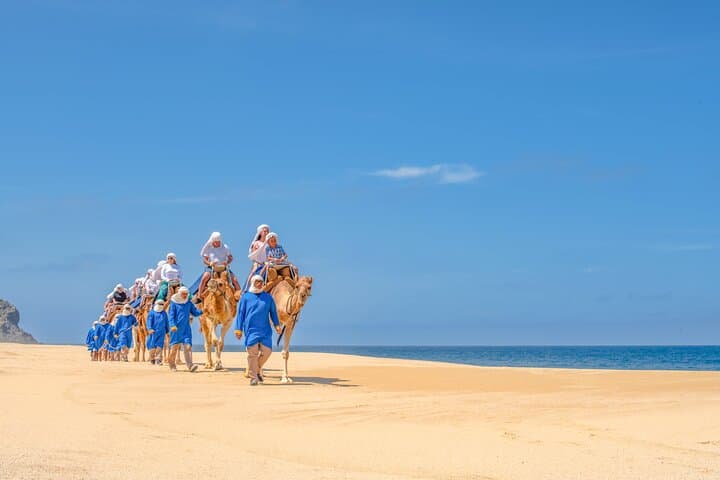 Cabo ATVs, UTVs & Camel Ride at Tierra Sagrada Beach Adventure Park photo 4