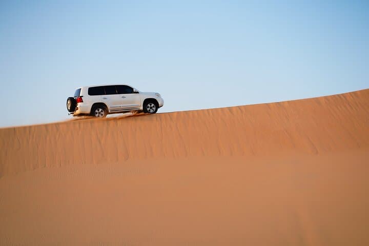 Liwa Desert Full-Day Safari: Explore the Rub Al Khali and Moreeb Dune photo 5