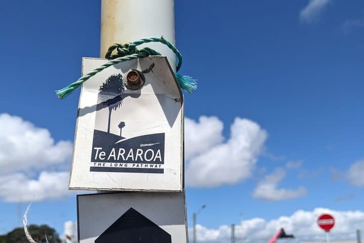 Auckland Coast-to-Coast Walk: Volcanic Summits and Shorelines photo 3