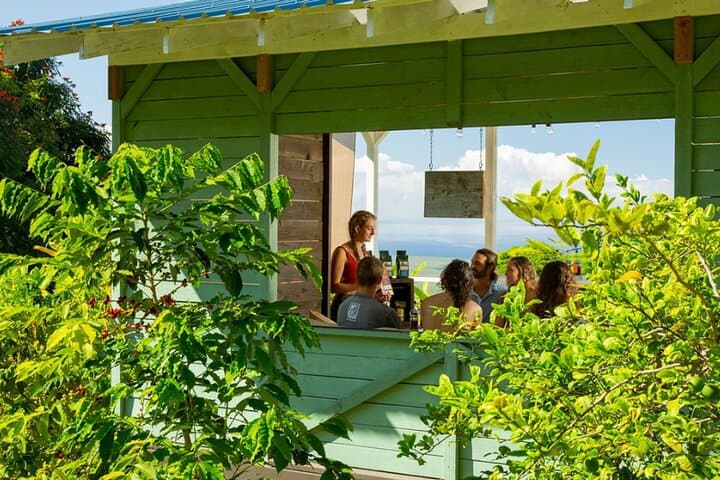 Master Pour-Over: Coffee Brewing Class in Oahu's Coffee Lab photo 2