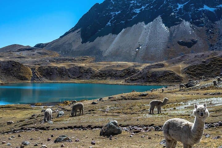 Hike the 7 Lakes of Ausangate: Day Trek from Cusco to Pajchanta photo 6