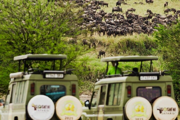 Epic Tanzania Migration Safari: 10-Day River Crossing Itinerary photo 2