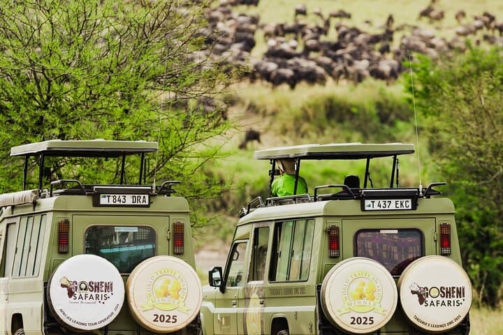 Epic Tanzania Migration Safari: 10-Day River Crossing Itinerary photo 6