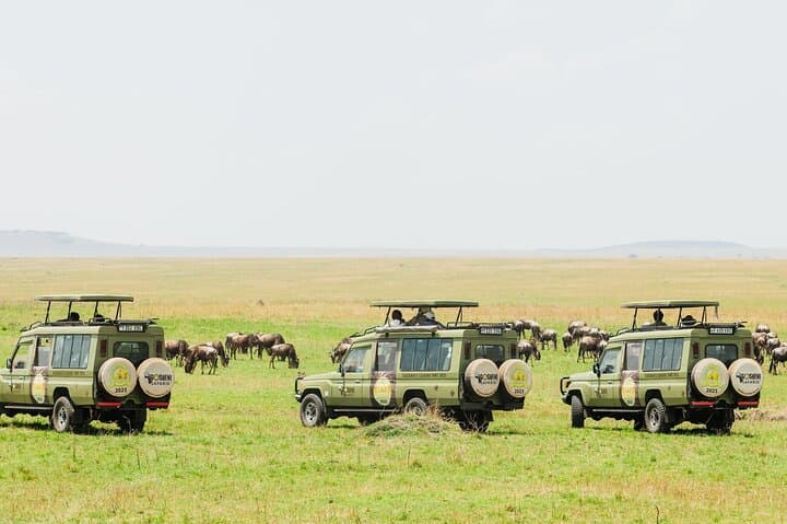 Epic Tanzania Migration Safari: 10-Day River Crossing Itinerary