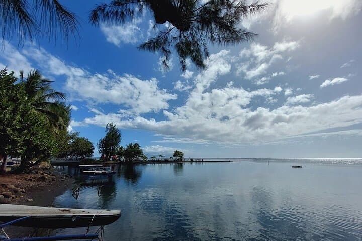 Tahiti Circle-Island Waterfalls, Marae & Coastal Views (Small-Group Tour) photo 2