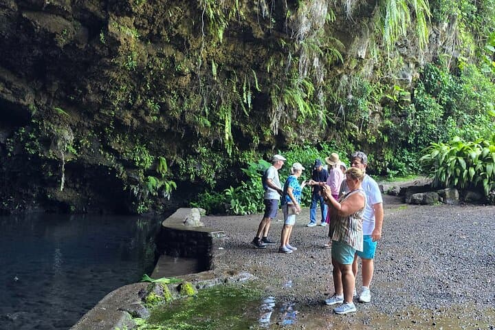Tahiti Circle-Island Waterfalls, Marae & Coastal Views (Small-Group Tour) photo 5