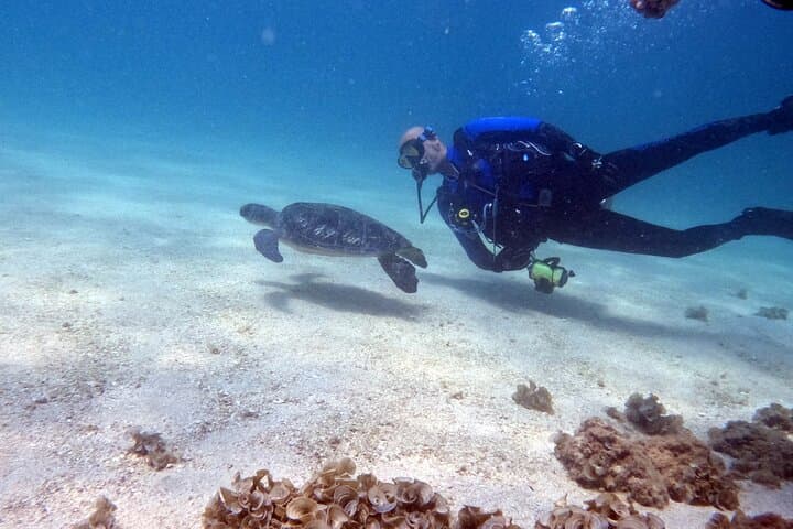 Jumeirah Scuba Dive: Guided Underwater Adventure Off Dubai's Coast photo 5