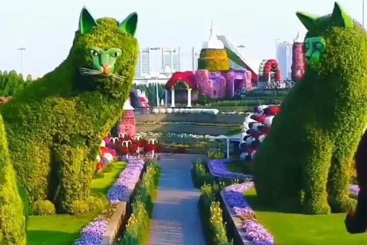 Dubai Miracle Garden From Ras Al Khaimah — Skip-the-Line Admission & Transfers photo 6