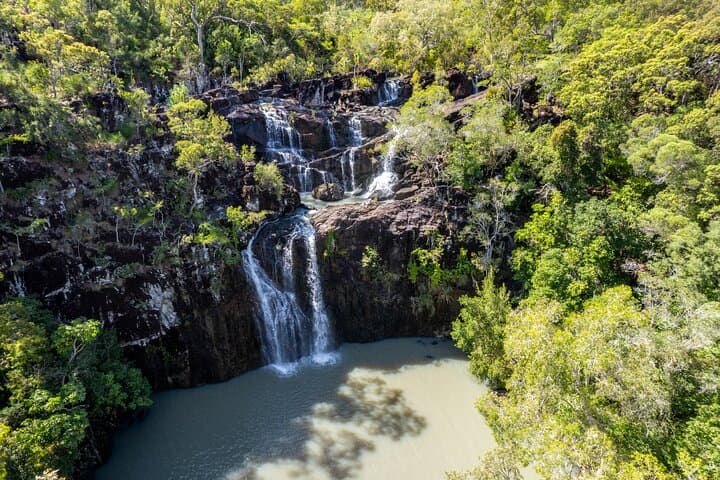 Cedar Creek Falls Rainforest Bushwalk from Airlie Beach — Eco Adventure photo 2