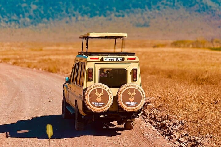 7-Day Tanzania Safari: Tarangire, Ngorongoro & Cultural Encounters