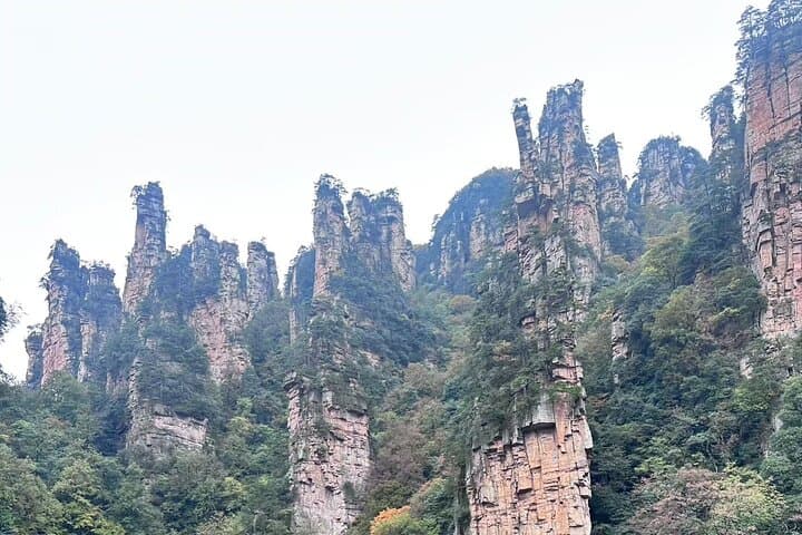 Zhangjiajie National Forest Park: 4-Day Ticket & Eco-Bus Visitor Guide photo 4