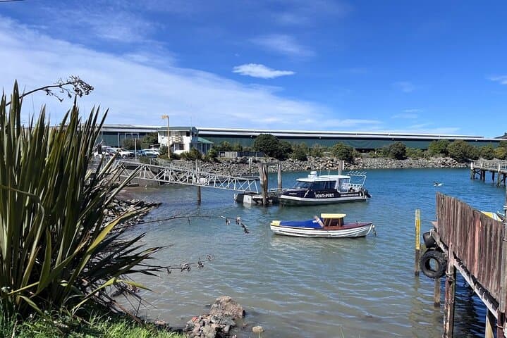 Otago Harbour by Bike — Self-Guided Coastal Cycle from Ravensbourne to Port Chalmers photo 2