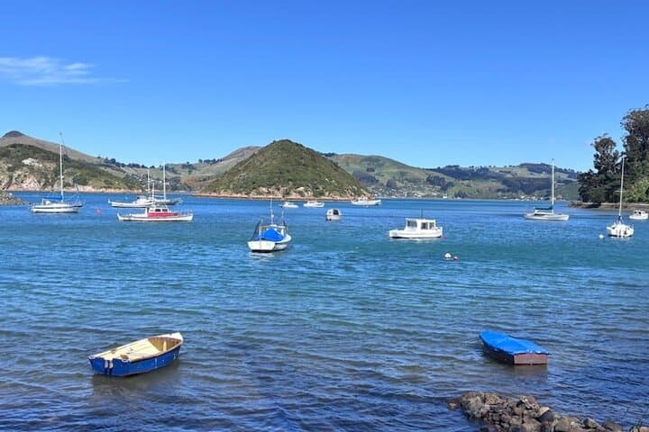 Otago Harbour by Bike — Self-Guided Coastal Cycle from Ravensbourne to Port Chalmers photo 3