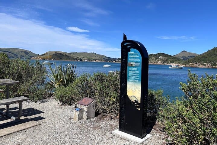 Otago Harbour by Bike — Self-Guided Coastal Cycle from Ravensbourne to Port Chalmers photo 4