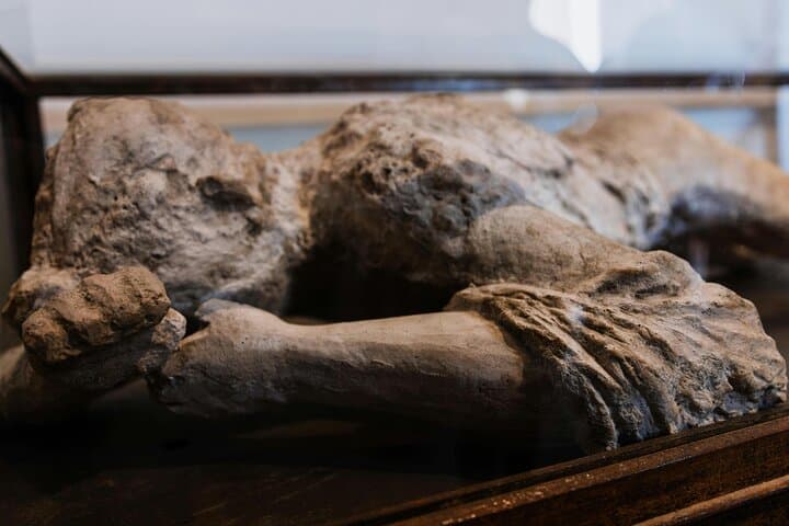 Private Archaeologist Tour of Pompeii Ruins — 2-Hour Guided Walk photo 3