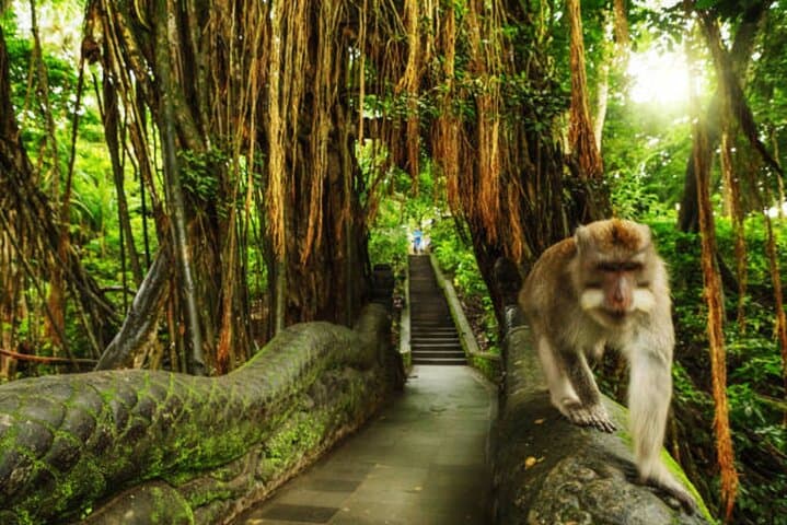 Bali Private Car Charter: Flexible Island Sightseeing with an English-Speaking Driver photo 2