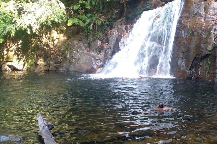 Exploring Sinharaja Rain Forest: Day Trek from Galle to Sri Lanka's Biodiversity Hotspot photo 2
