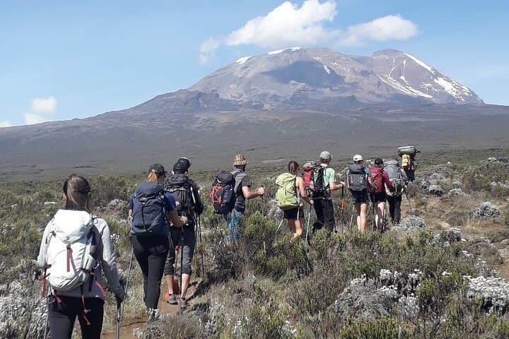 Kilimanjaro Marangu Route: All‑Women 8‑Day Summit Expedition photo 2