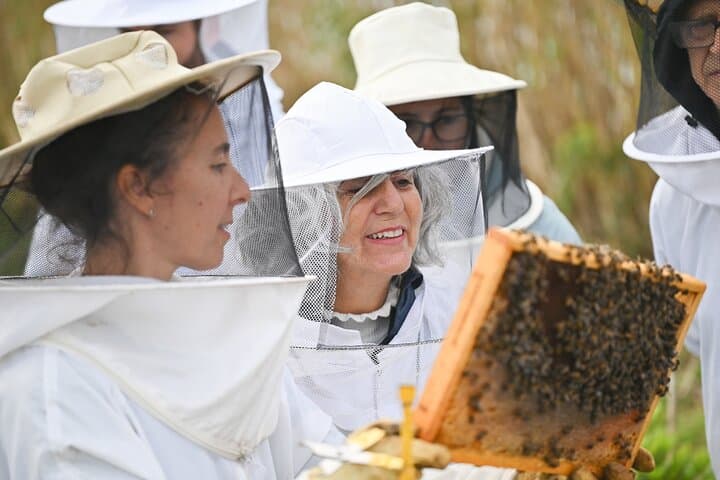 Azores Beekeeping Experience: Margaridas Apiary Tour & Honey Tasting on São Miguel photo 2