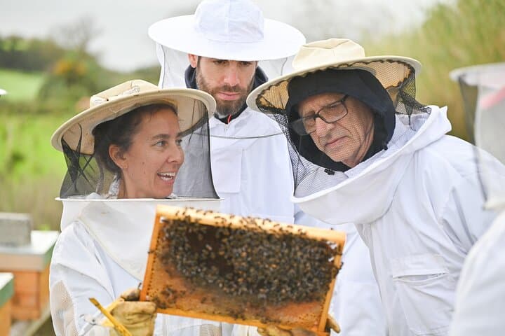 Azores Beekeeping Experience: Margaridas Apiary Tour & Honey Tasting on São Miguel photo 3