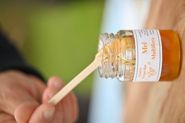 Azores Beekeeping Experience: Margaridas Apiary Tour & Honey Tasting on São Miguel photo 4