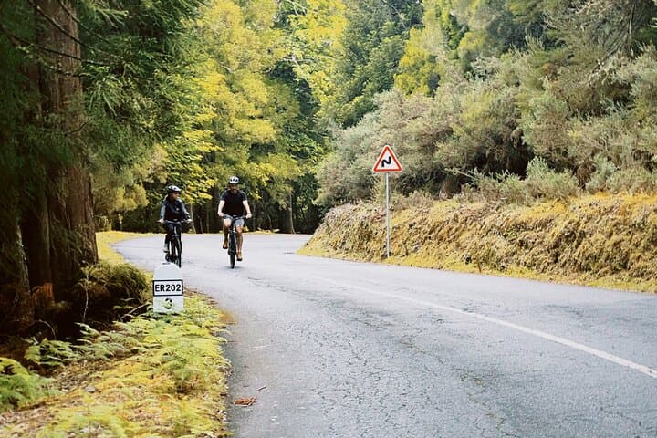 E-Bike and Hike Through Rural Madeira — Levadas, Local Cheese & Mountain Views