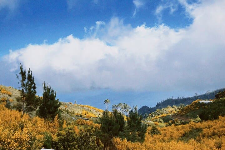 E-Bike and Hike Through Rural Madeira — Levadas, Local Cheese & Mountain Views photo 5