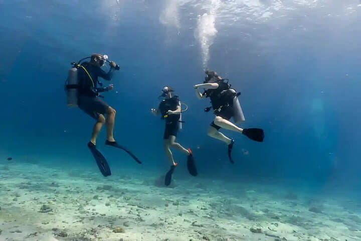 PADI Open Water Diver Course in Hurghada — 3-Day Red Sea Certification with Equipment photo 5