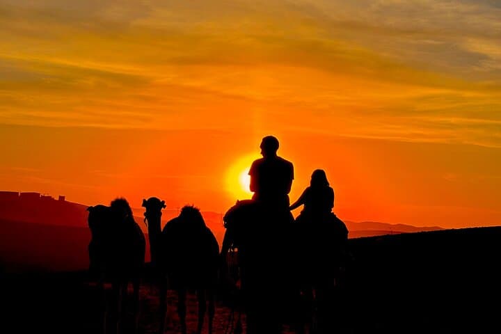 Agafay Desert Sunset Camel Ride and Dinner Show from Marrakech photo 4