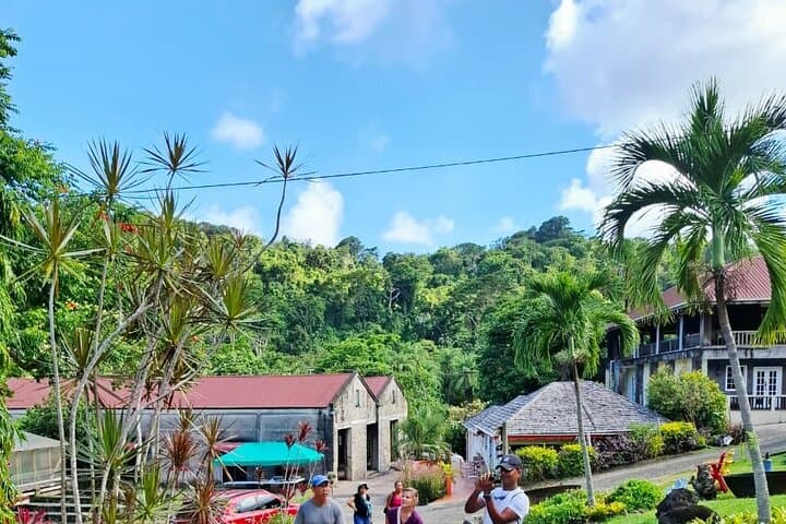 Grenada Spice, Rum & Cocoa Heritage Tour: Taste the Island's Flavors photo 2