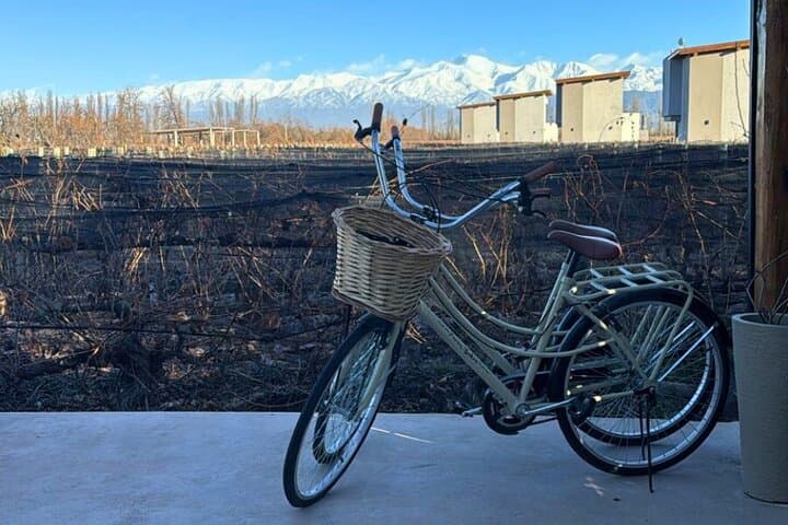Pedaling Malbec: Luján de Cuyo Private Bike Tour with Gourmet Lunch