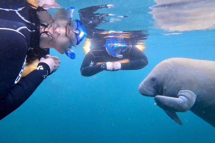 Manatee Magic: Private 3-Hour Heated Boat Swim on the Homosassa River photo 3