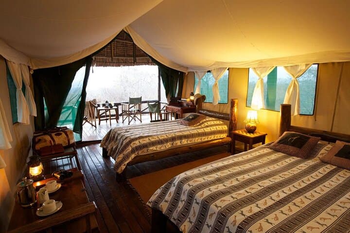 3-Day Mikumi Safari: Big Game in Tanzania's Mkata Plains photo 3