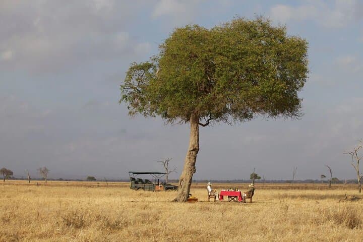 3-Day Mikumi Safari: Big Game in Tanzania's Mkata Plains photo 4