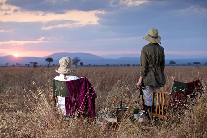 3-Day Mikumi Safari: Big Game in Tanzania's Mkata Plains photo 1