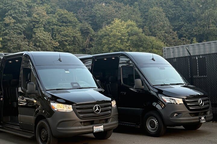 Seattle Highlights Private Tour: 3–4 Hour Luxury SUV or Sprinter City Experience photo 6
