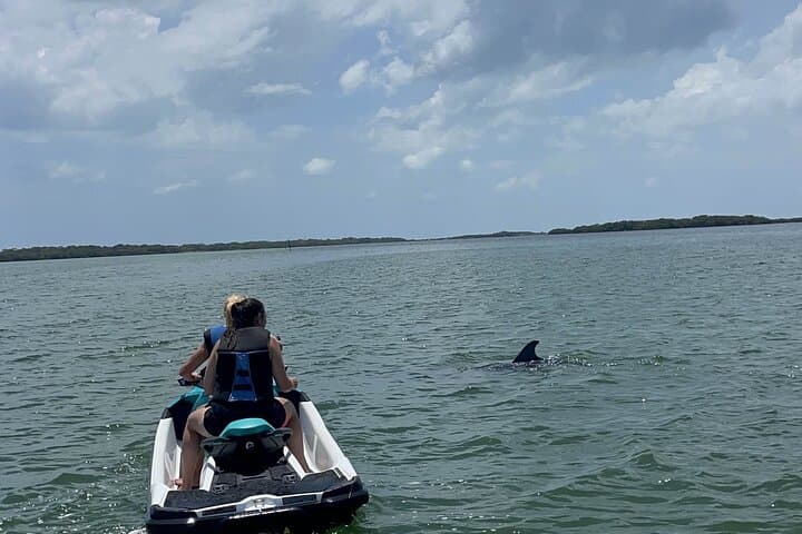 Jet Ski Adventure: Explore Hidden Islands & Dolphins near St. Pete Beach photo 3